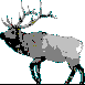 Click on Elk for a surprise