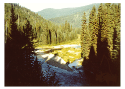 Saint Joe River of Idaho